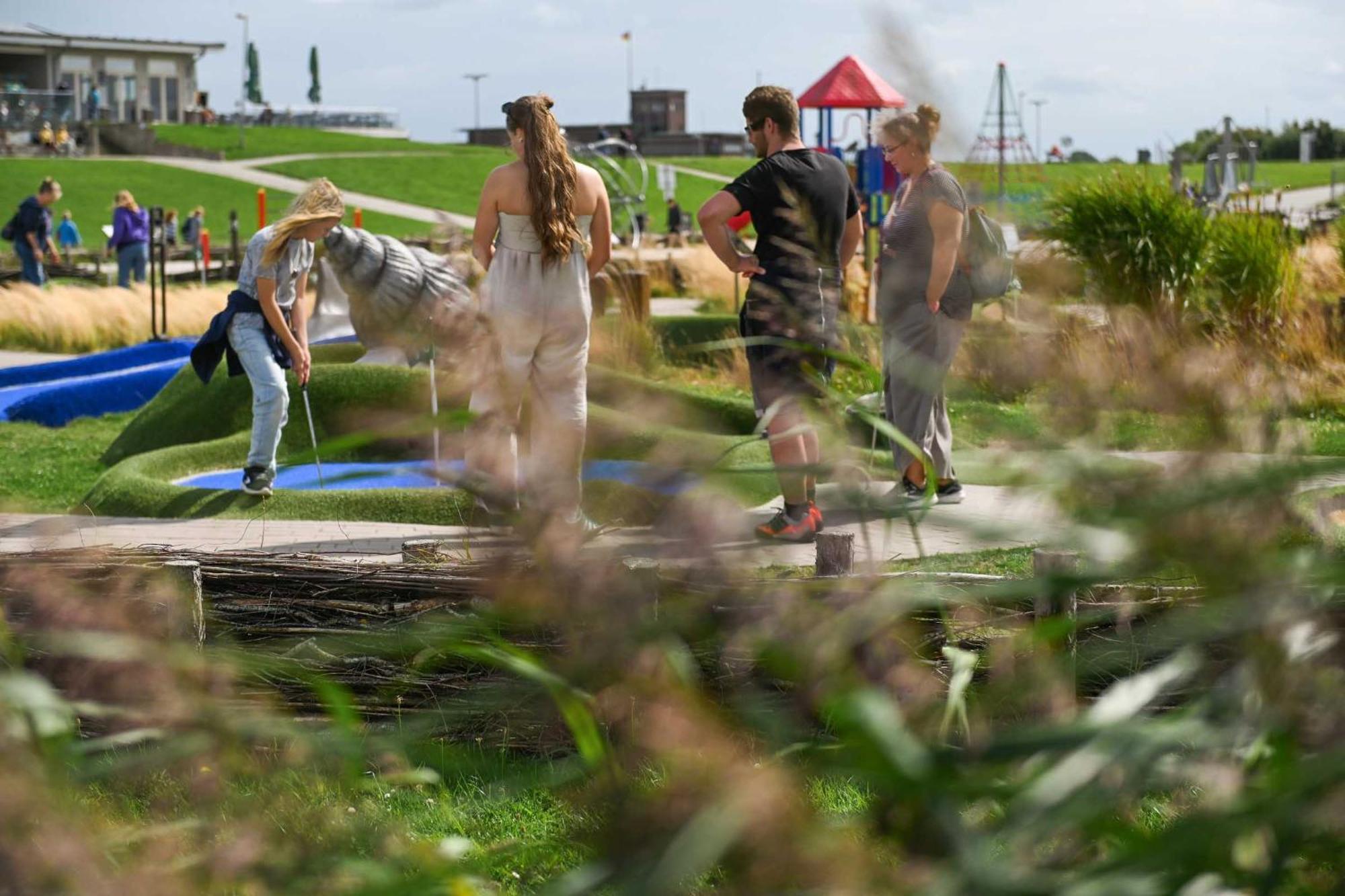 Tiny House Pioneer 18 Zur Meerseite - Green Tiny Village Harlesiel Carolinensiel Eksteriør bilde